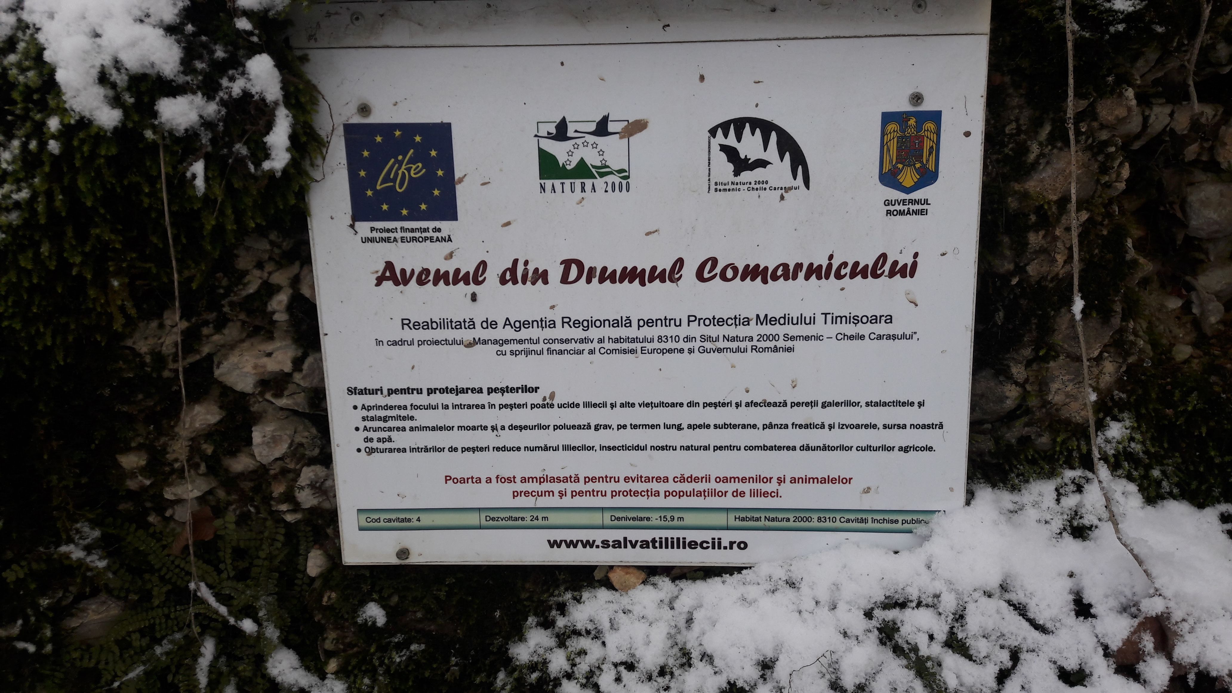 Avenul din Drumul Comarnicului - Image 3